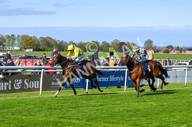 240425-Race 7-Mister Daydream-1803 - Race 7