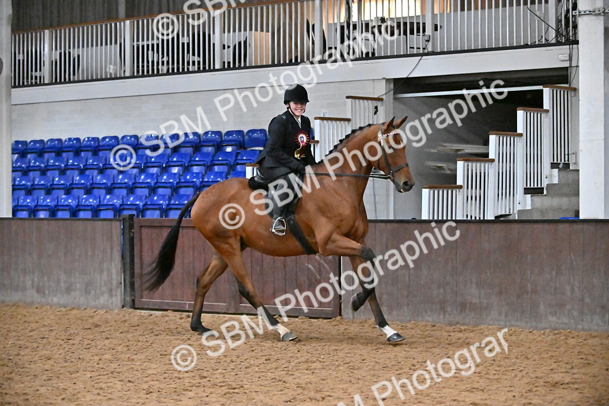 SBM_003074 - Class 37,38 - UKPSAF Performance Horse & Pony