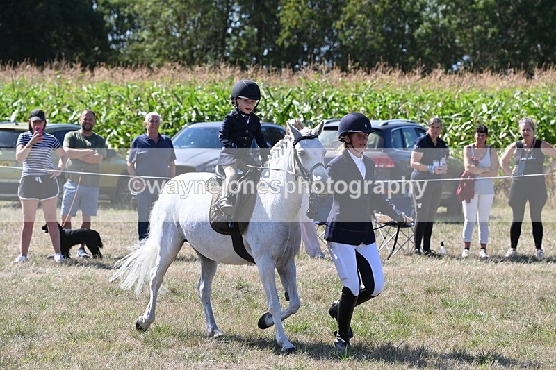 WJ6_8000 - Class 36 Lead Rein