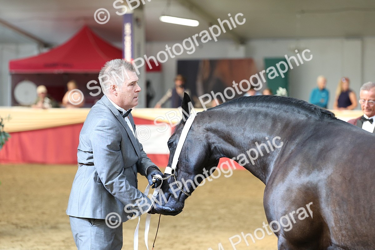 SBM_23330 - Class 903 - Supreme Final - IH Pre Vet