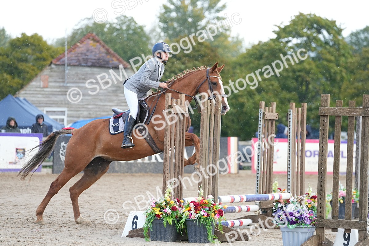 SBM_21172 - J49 - Open 50cm