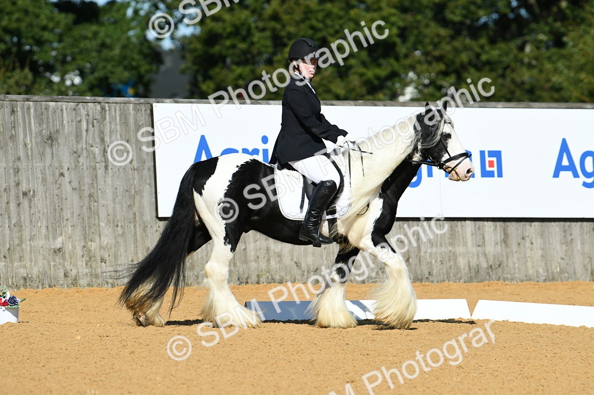 SBM_18071 - D4 - Small Tour Championship - Intro B