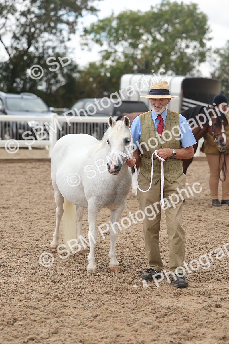 SBM_03228 - Class 16 - IH M&M Wildcard