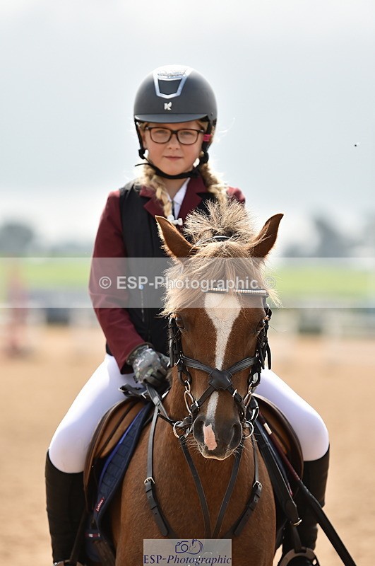 230902A-120204-00894 - Cls 2B Pony Small 80cm