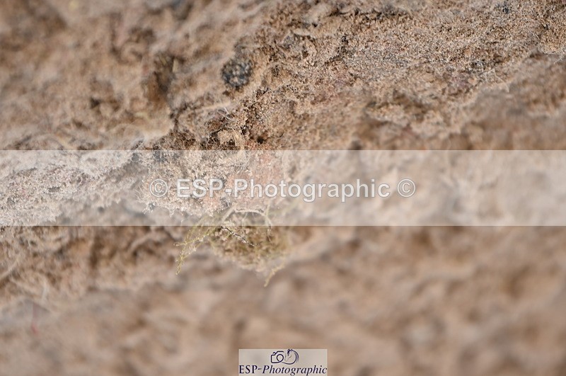 231015A-133856-08382 - Cls 25 95cm Amateur Q 2nd R