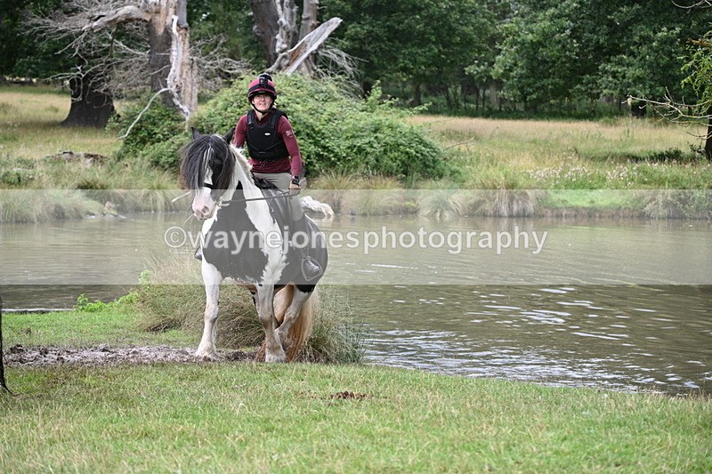 WJ7_5013 - Time at Water 14:00 to 14:53