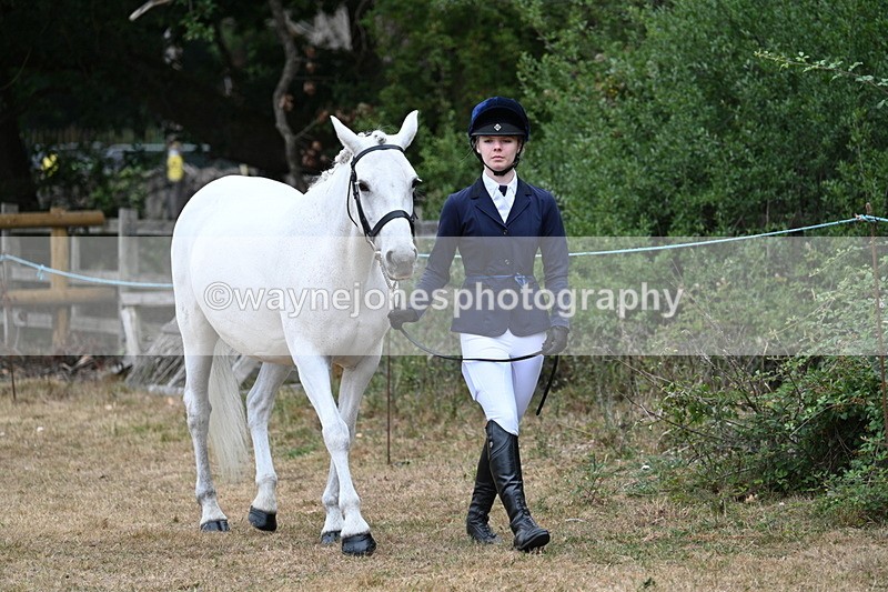 WJ7_8670 - Class 4a Prettiest Mare 14.2hh and over