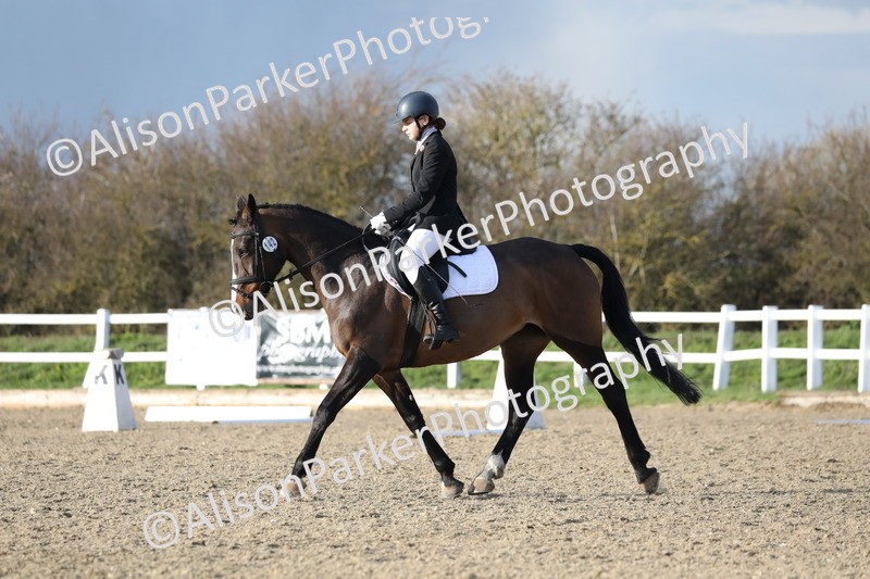 20260314-5951 - DR9 - PYO