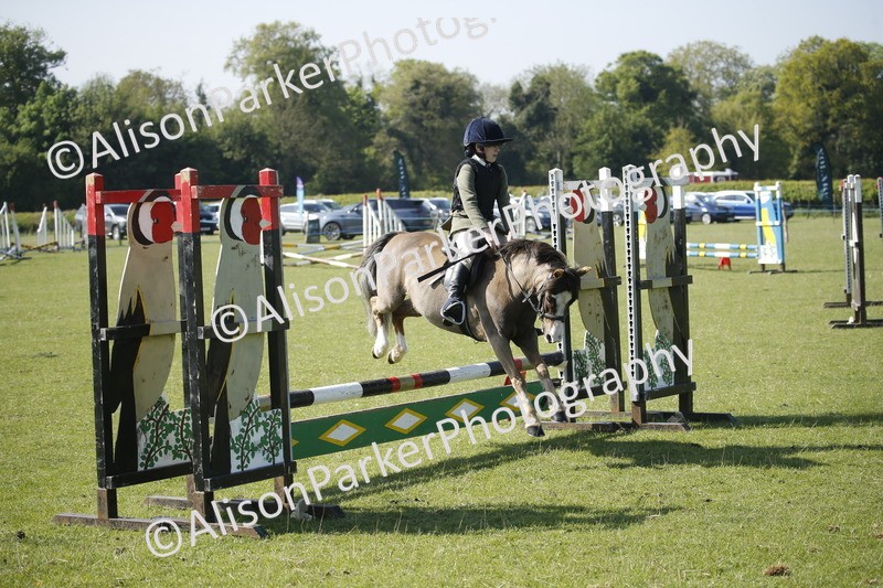20250427-0421 - Class 12 - Rookie Jumping 40cm