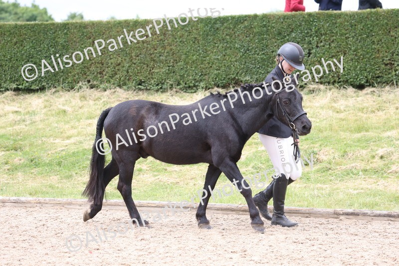 20250524-0606 - Class 7 - Veteran