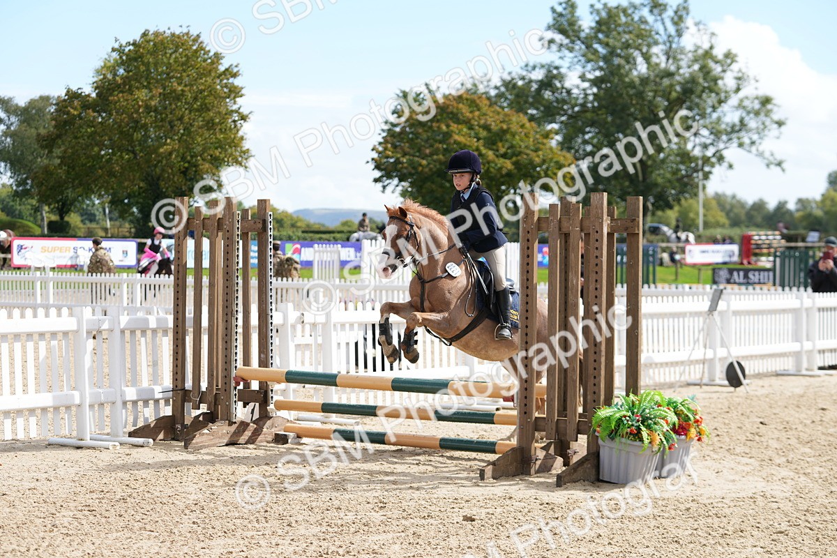 SBM_44334 - J7 - Junior Pony 60cm Championship