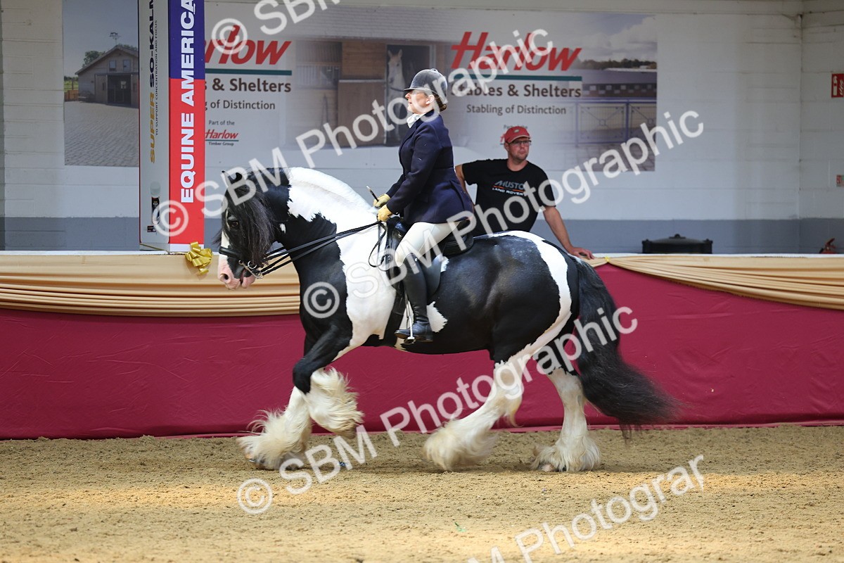 SBM_24133 - Class 905 - Supreme Final - Ridden Veteran