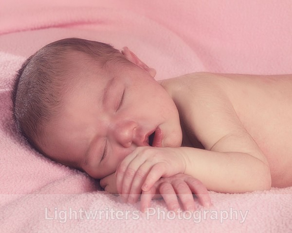 Willow 2 - Willow