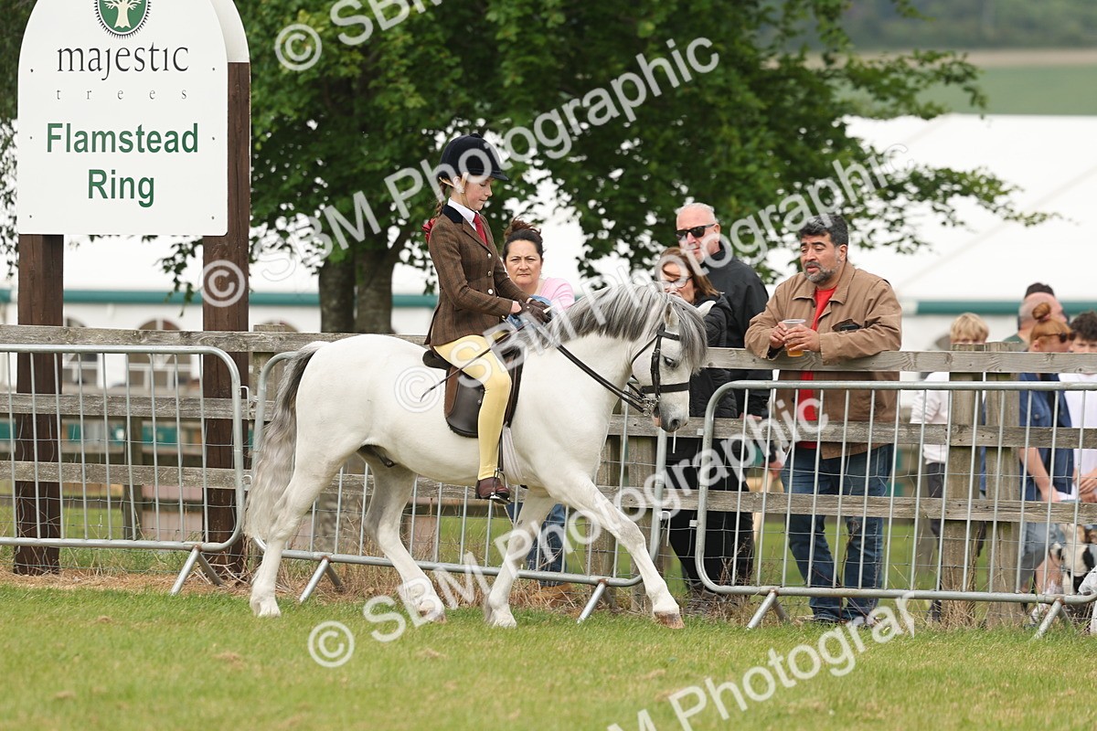 SBM_07084 - Class 76-77 - Ridden M&M Welsh Ponies