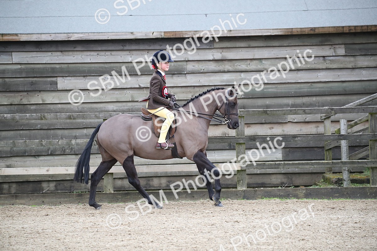 SBM_004697 - Class 5-9 - NPS In Hand-Show Hunter-Intermediate Ridden Inc Ridden Championship