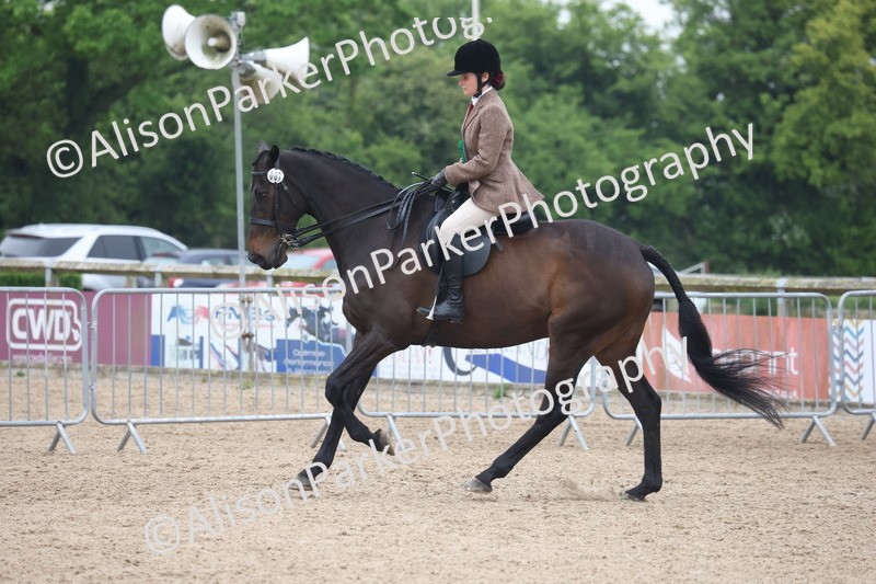 20260504-1190 - Class 14 - Cob and Hunter