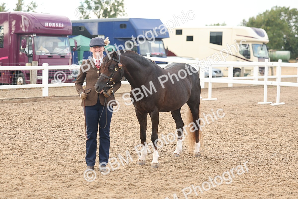 SBM_08508 - Class 29 - IH Veteran Pony