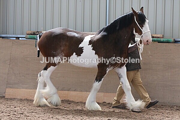 SIAL0171 - Indoor Classes