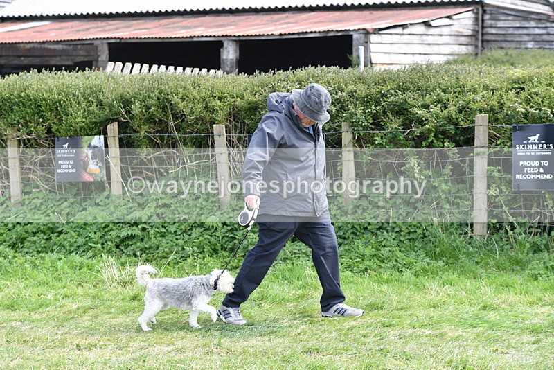 WJ5_0736 - Best in Show Championship