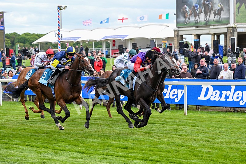 150526-Race 7-Portcullis-8745 - Race 7 5.15pm Darley EBF 'Confined' Novice Stakes