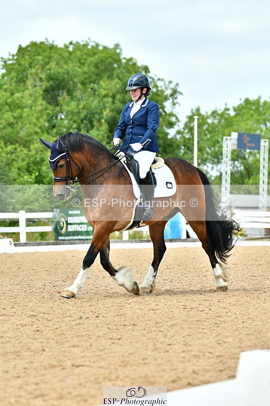 230702A-140744-10579 - Cls 32 Medium 73