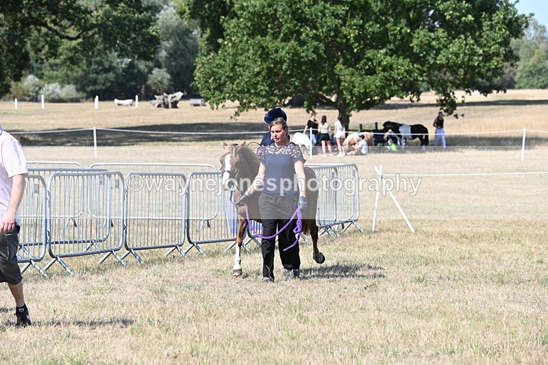 WJ6_9478 - Class 40 Cheekiest Pony/Horse