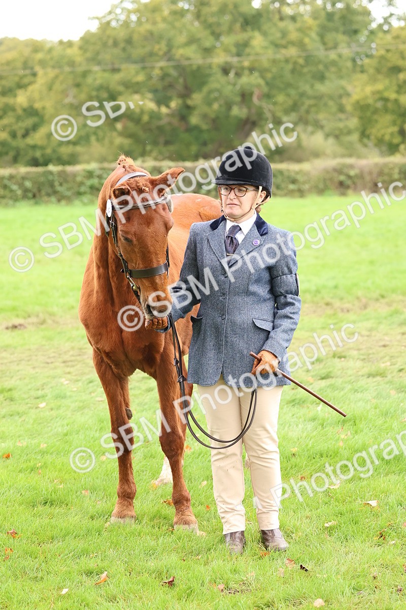 SBM_41722 - S26 - Mature Veteran In Hand