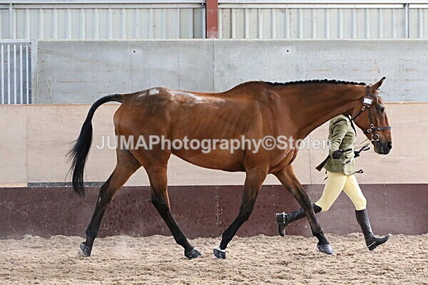 SIAL9818 - Indoor Classes