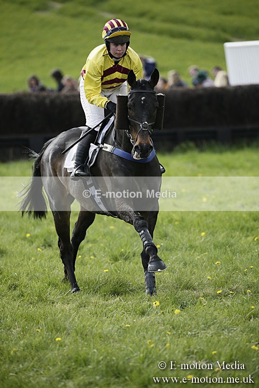 PtP 170417 441 - Old Berks Point-to-Point Lockinge 17/04/17