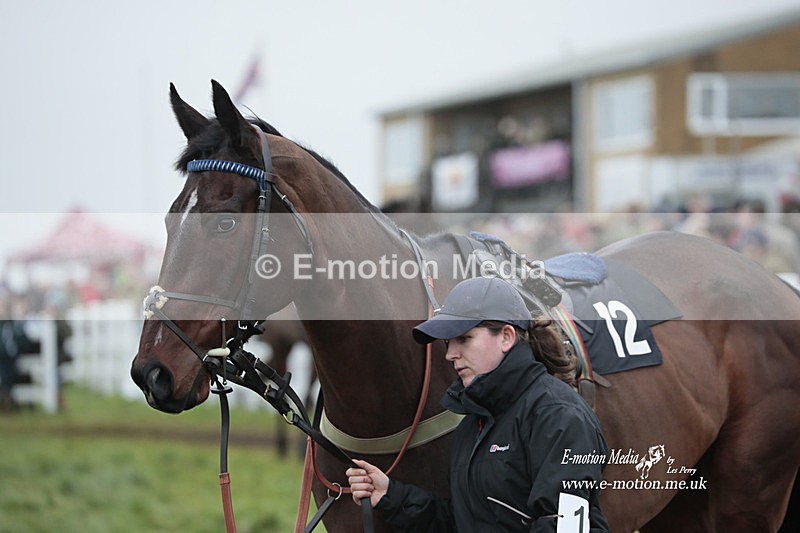 PtP 041222 0565 - Larkhill Racing Club Point-to-Point Larkhill 01/01/23