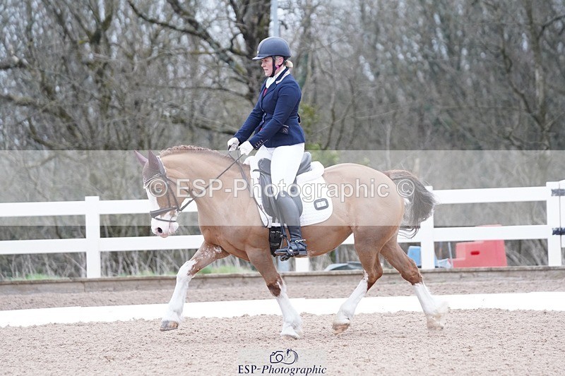 250214-094554-00065 - 167-Willow.Tarrant.Clark-Ashgrove.Wendi