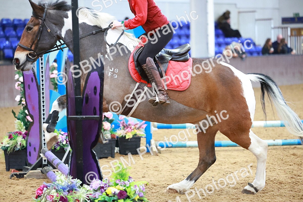 SBM_002093 - Class 3 - Horse & Hound (60cm)