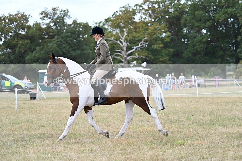 WJ7_4980 - Class 12 Ridden Cob