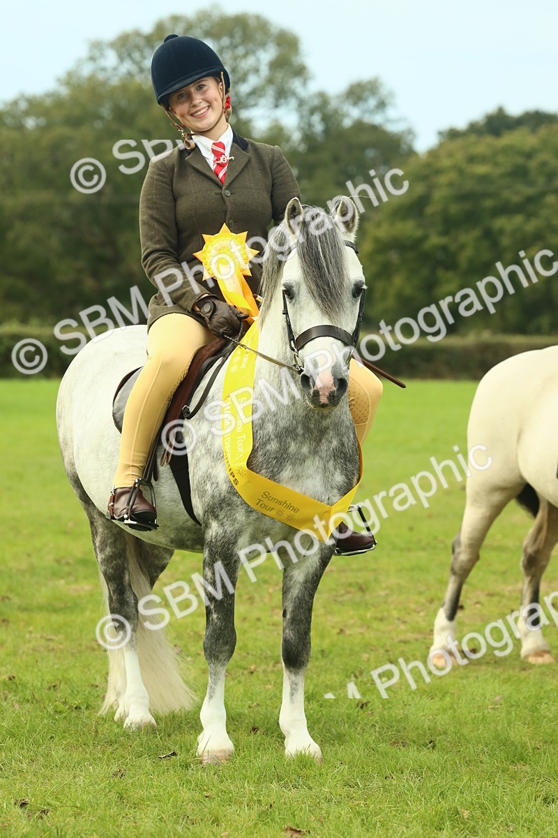 SBM_70029 - S59 - Mountain & Moorland Ridden Small Breeds