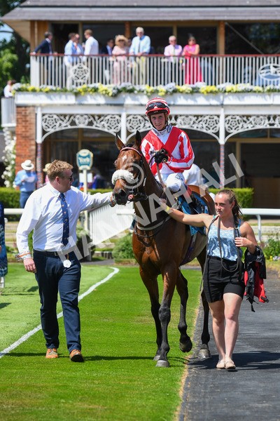 160623-Race 1-Menelaus-0208 - Race 1 1.50pm Andy Thornton Hospitality Furniture Apprentice Handicap