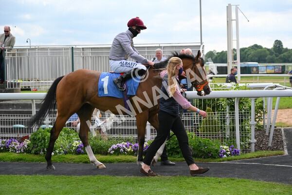 yr11062021r5-31 - Race 5 4.00pm Sky Bet Ganton Stakes