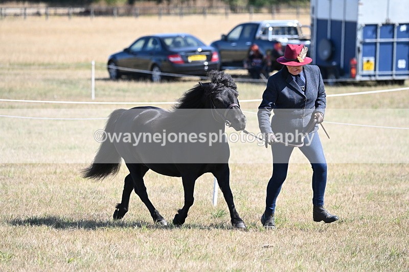 WJ6_4507 - Class 17 Mountain & Moorland
