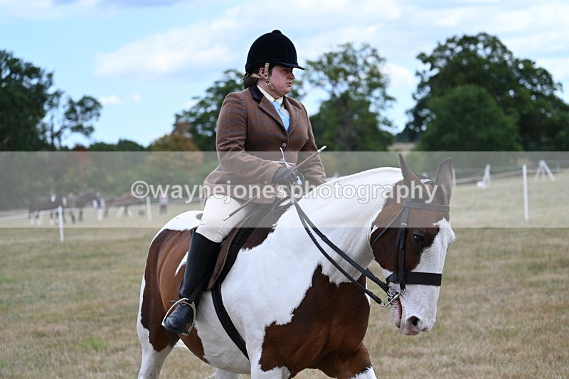WJ7_5316 - Class 12 Ridden Cob