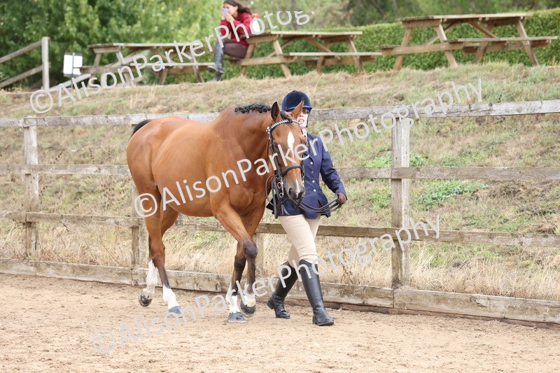 20260831-1899 - Class 5 - Retraining of Racehorses