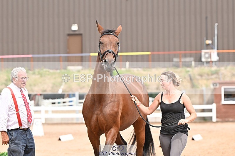 250716-154029-02107 - Trot Up 3.30 to 4.30