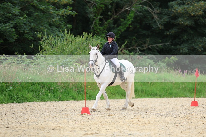 3E7A9632 - Walk trot run