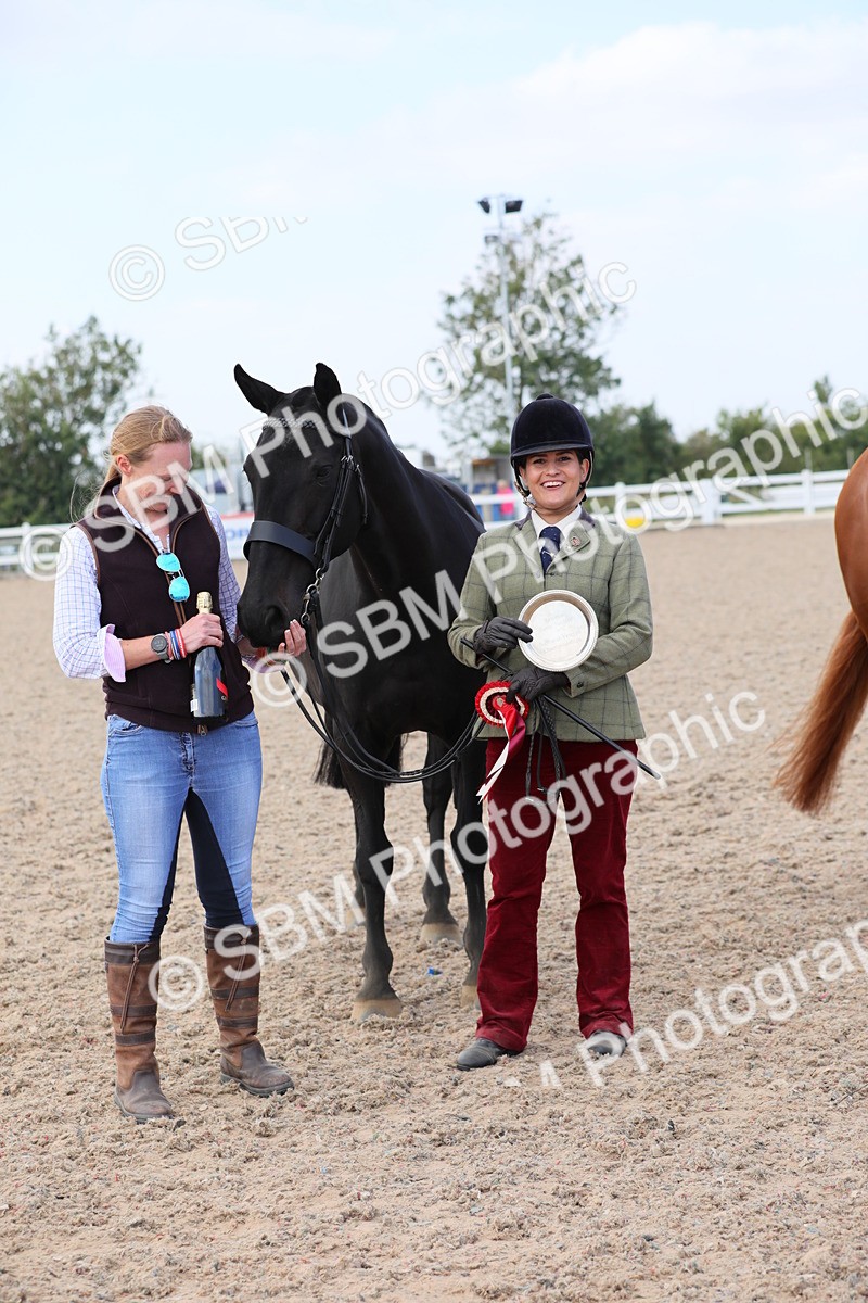 SBM_15843 - Class 312 IH Competition Horse/Pony
