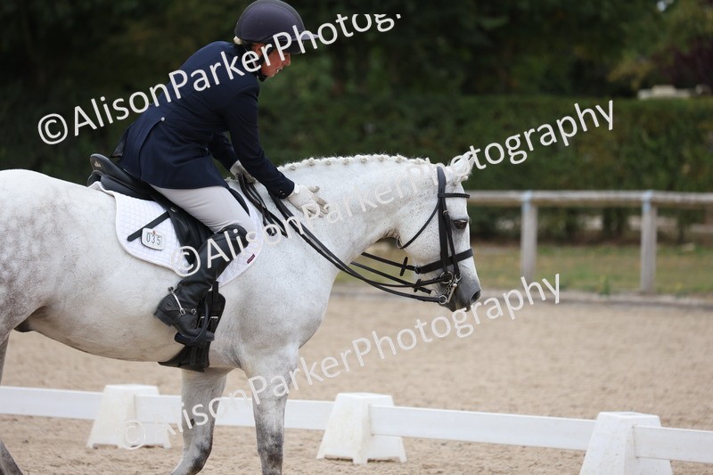 20250820-1173 - Class 17 - Elementary 4