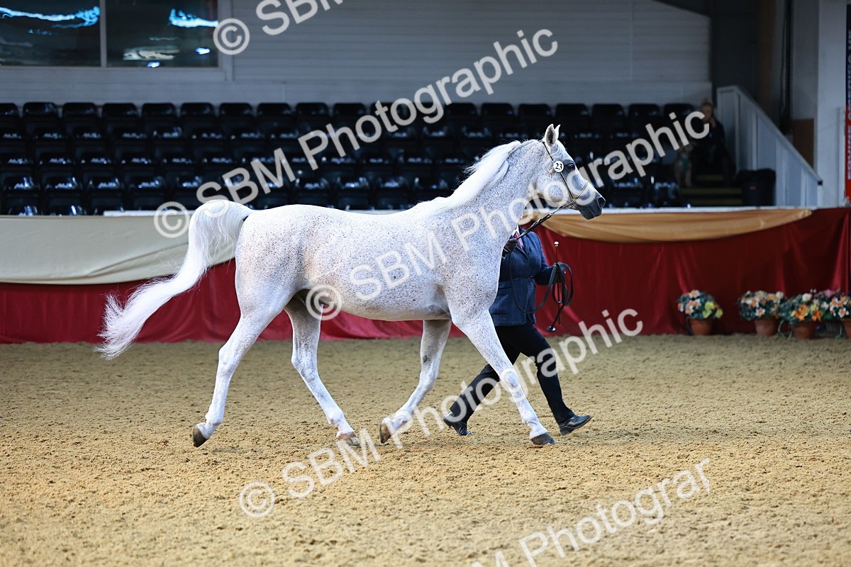 SBM_22185 - Class 902 - Supreme Final - IH Diamond