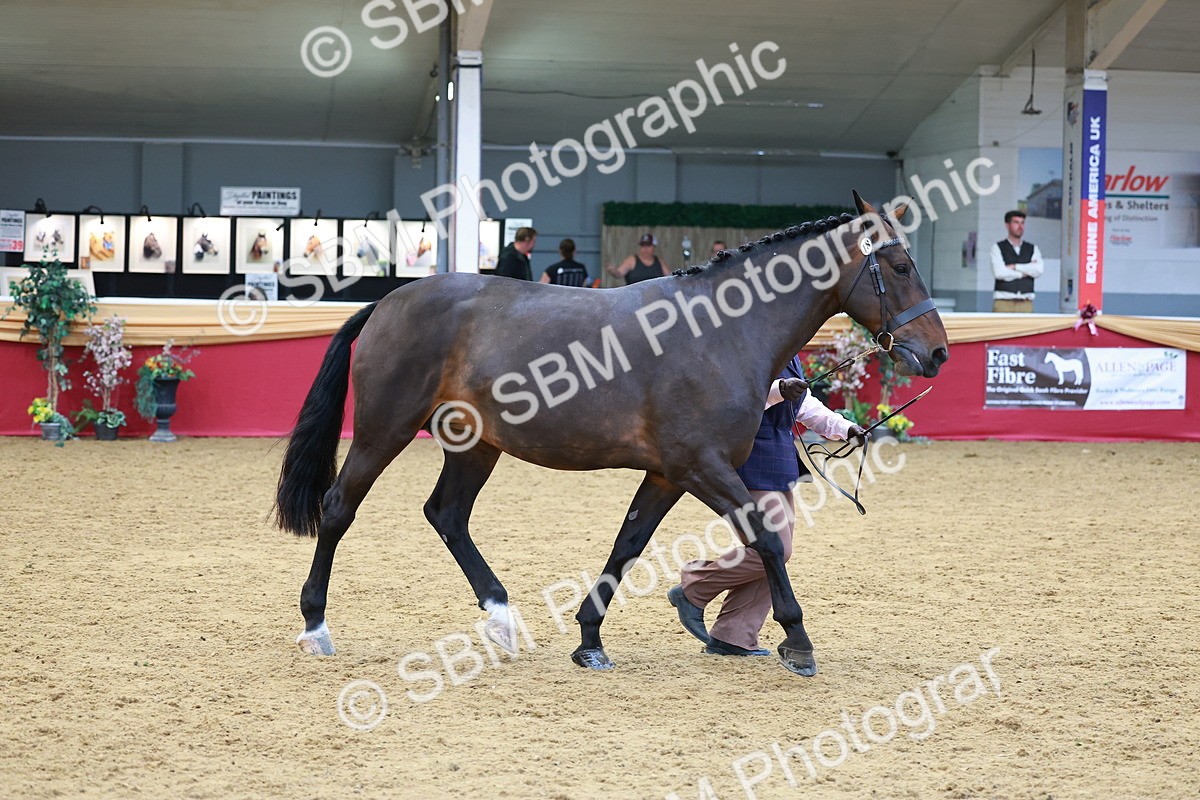 SBM_04228 - Class 9R - IH Pre-Vet