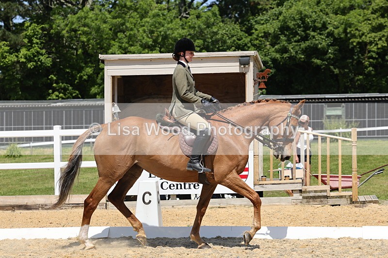 1X9A1807 - Class 12: Ridden Riding Horse/Hack