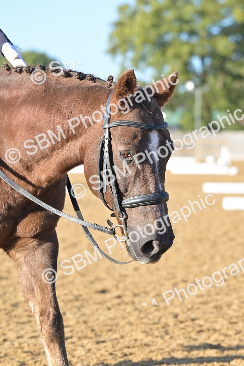 SBM_13113 - D3 - Small Tour Championship Intro 3
