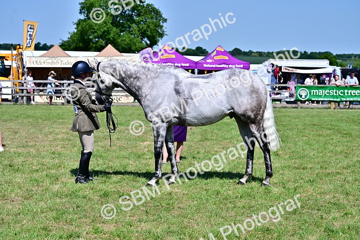 SBM_18227 - Class 99-100 - Retraining of Racehorses Ridden