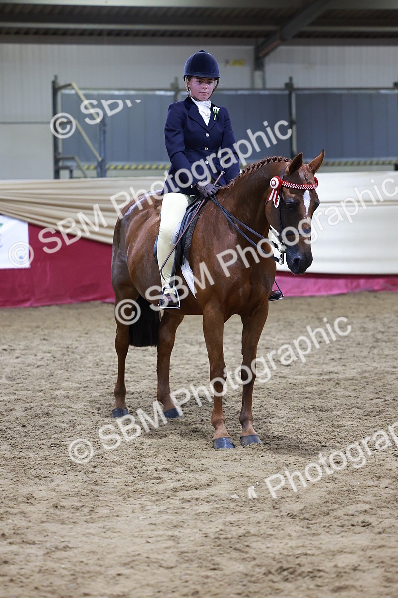 SBM_21237 - Class R - Veteran Champ