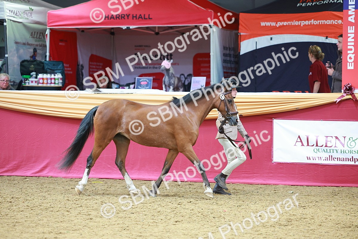 SBM_04207 - Class 9R - IH Pre-Vet